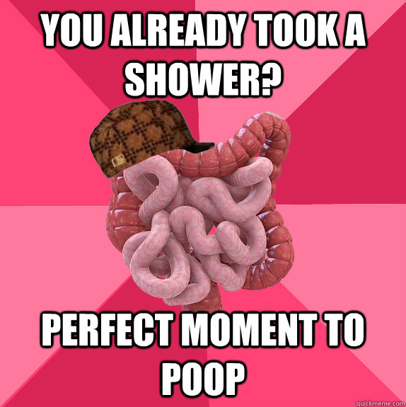 you already took a shower? perfect moment to poop - you already took a shower? perfect moment to poop  Scumbag Intestines