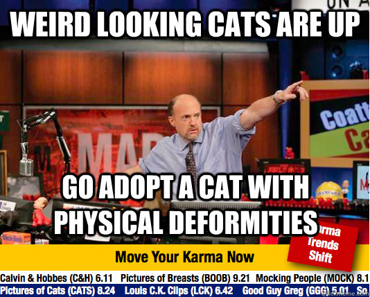 Weird looking cats are up Go adopt a cat with physical deformities  Mad Karma with Jim Cramer