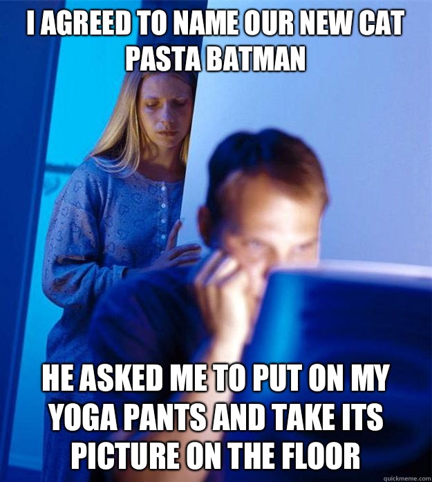 i agreed to name our new cat pasta batman He asked me to put on my yoga pants and take its picture on the floor  Redditors Wife