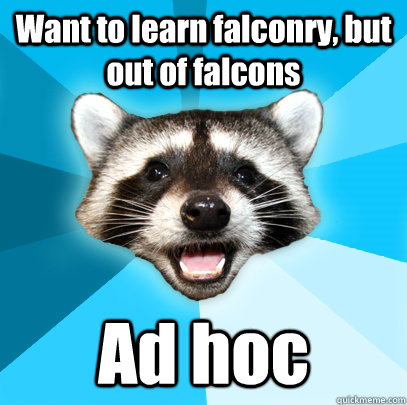 Want to learn falconry, but out of falcons Ad hoc  Lame Pun Coon