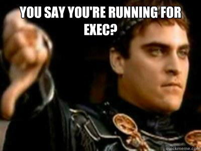 You say you're running for exec?   Downvoting Roman
