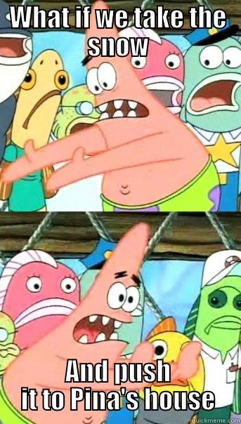 WHAT IF WE TAKE THE SNOW AND PUSH IT TO PINA'S HOUSE Push it somewhere else Patrick