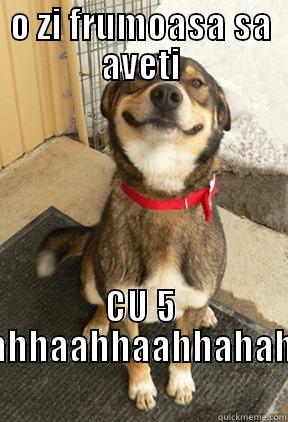 O ZI FRUMOASA SA AVETI CU 5 HAHAHAHAHHAAHHAAHHAHAHAHAHAAH Good Dog Greg
