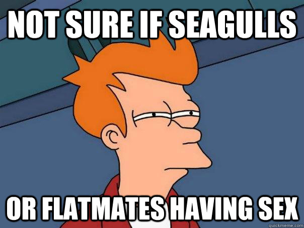 Not sure if seagulls or flatmates having sex - Not sure if seagulls or flatmates having sex  Futurama Fry