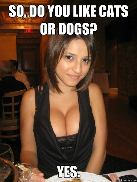 So, do you like cats or dogs? Yes.  AmazinglyPhotogenicBoobGirl
