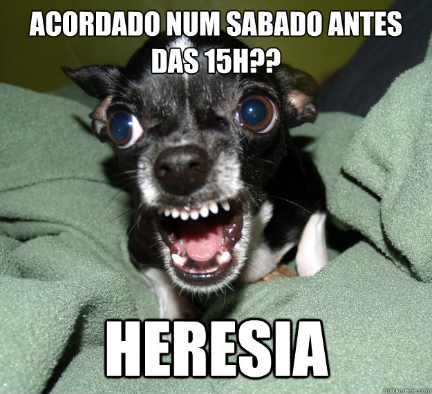 Acordado num sabado antes das 15h?? heresia  Chihuahua Logic