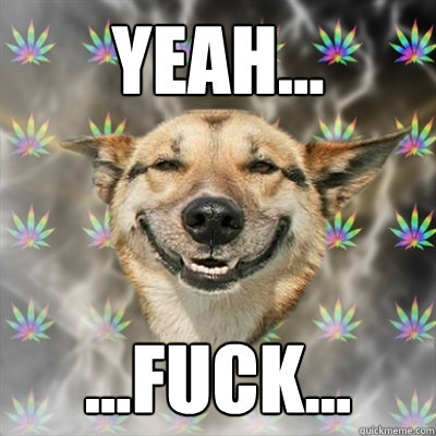yeah... ...fuck...  Stoner Dog