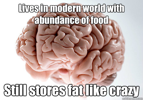 Lives in modern world with abundance of food Still stores fat like crazy   Scumbag Brain