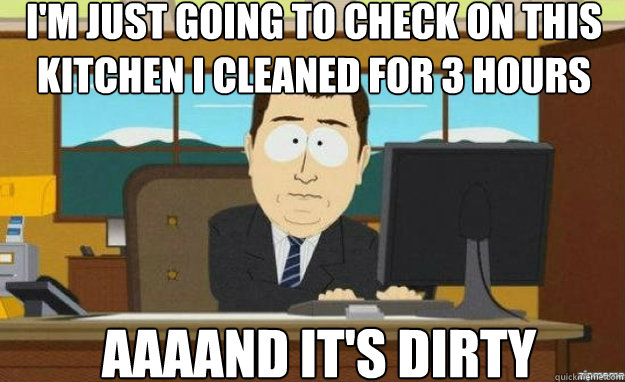 I'm just going to check on this kitchen I cleaned for 3 hours AAAAND IT'S dirty  aaaand its gone