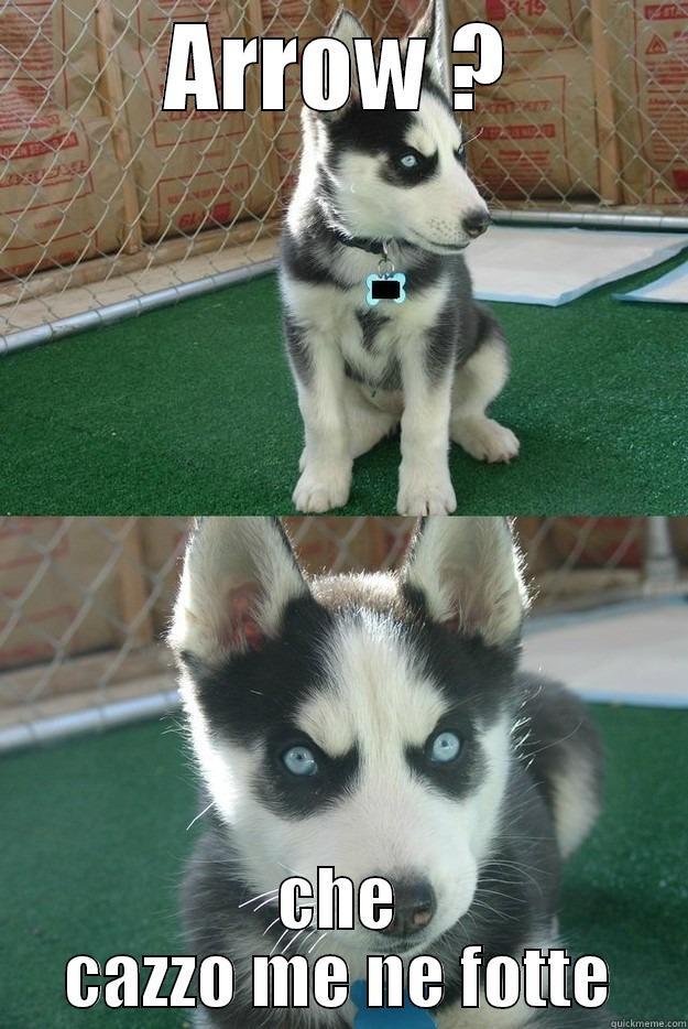 ARROW ? CHE CAZZO ME NE FOTTE Insanity puppy