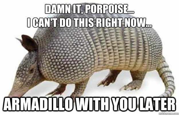 damn it, porpoise... 
i can't do this right now... Armadillo with you later - damn it, porpoise... 
i can't do this right now... Armadillo with you later  armadillo
