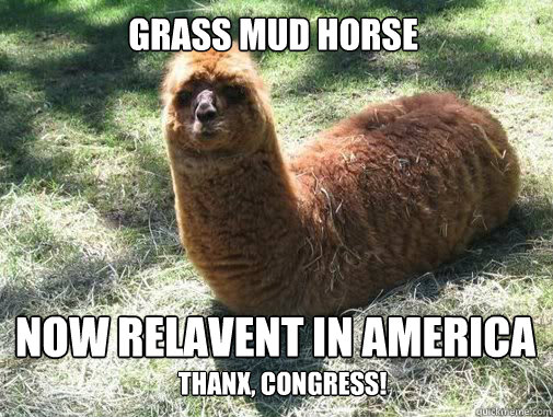 GRASS MUD HORSE NOW RELAVENT IN AMERICA
 Thanx, Congress!
  Alpacapillar