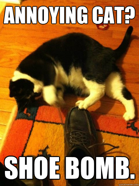 Annoying cat? Shoe bomb. - Annoying cat? Shoe bomb.  Peace PC sp