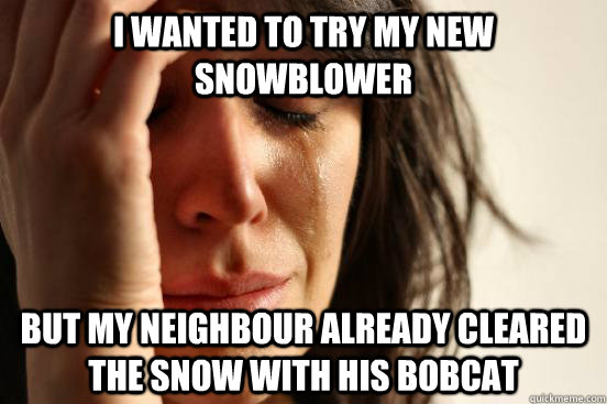 I wanted to try my new snowblower but my neighbour already cleared the snow with his bobcat  First World Problems
