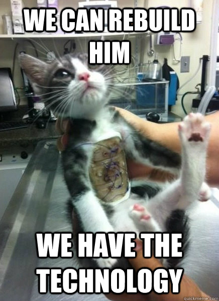 we can rebuild him we have the technology  Cyborg Cat