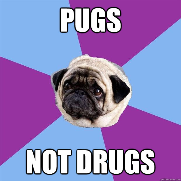 Pugs not drugs  Lonely Pug