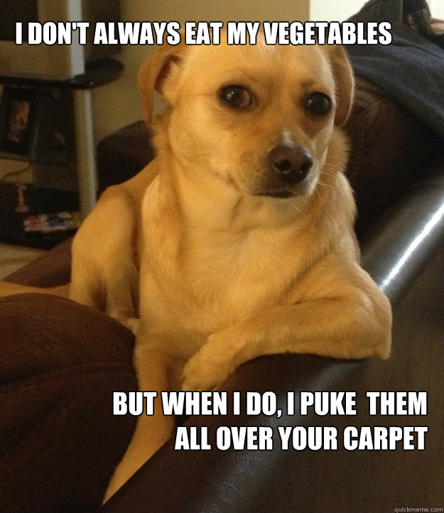 I don't always eat my vegetables
 but when i do, i puke  them
 all over your carpet  