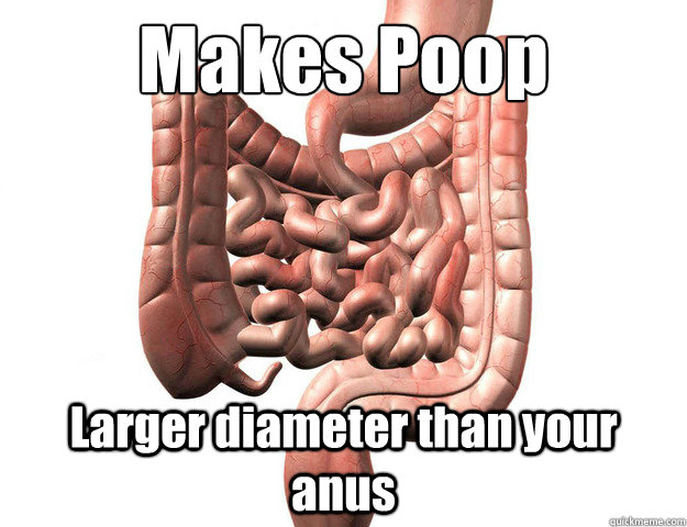 Makes Poop Larger diameter than your anus - Makes Poop Larger diameter than your anus  Scumbag Intestine