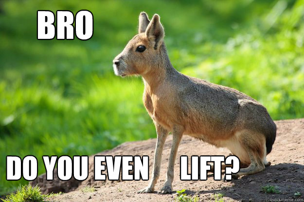      BRO Do you even      lift?  
