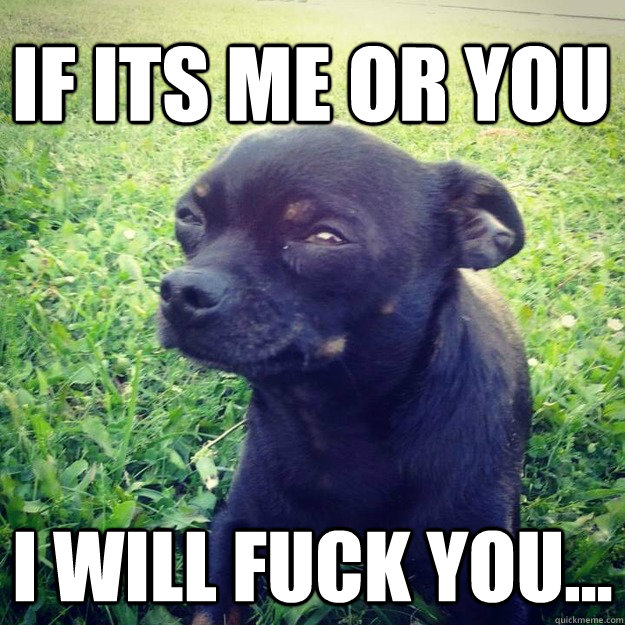 IF ITS ME OR YOU I WILL FUCK YOU... - IF ITS ME OR YOU I WILL FUCK YOU...  Skeptical Dog