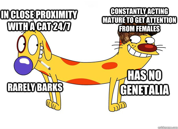 In close proximity with a cat 24/7 Rarely Barks Constantly acting mature to get attention from females Has no genetalia  CatDog