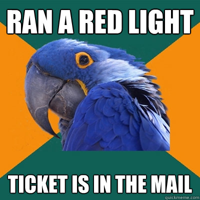 Ran a red light ticket is in the mail  Paranoid Parrot