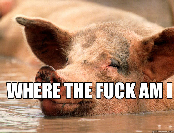  WHERE THE FUCK AM I   Stoner Pig