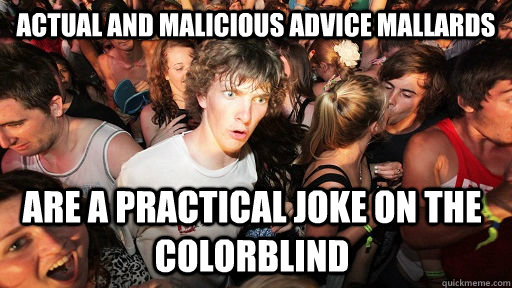 Actual and Malicious advice mallards Are a practical joke on the colorblind   Sudden Clarity Clarence