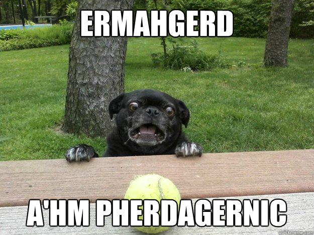 Ermahgerd A'hm pherdagernic  Berks Dog