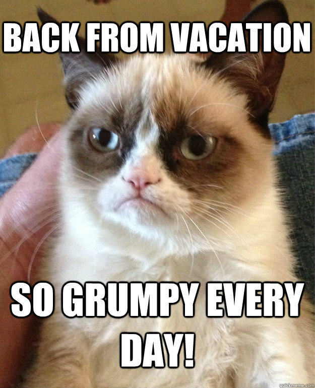 BACK FROM VACATION SO GRUMPY EVERY DAY!  Grumpy Cat