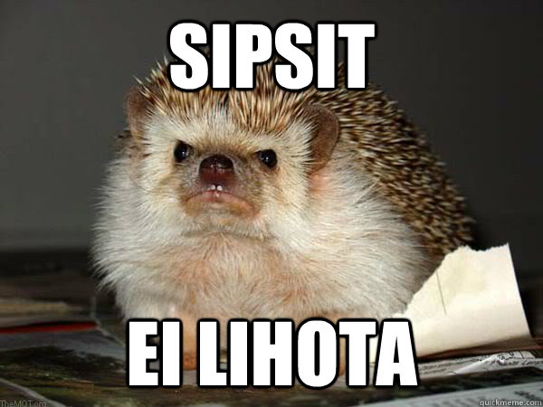 SIPSIT EI LIHOTA  