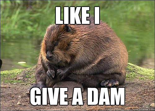 Like I Give a dam  Angry Beaver