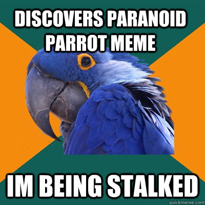 Discovers Paranoid parrot meme im being stalked - Discovers Paranoid parrot meme im being stalked  Paranoid Parrot