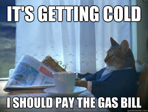 it's getting cold i should pay the gas bill  The One Percent Cat