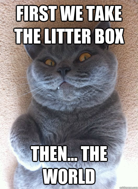 First we take the Litter box then... the world - First we take the Litter box then... the world  Evil Cat