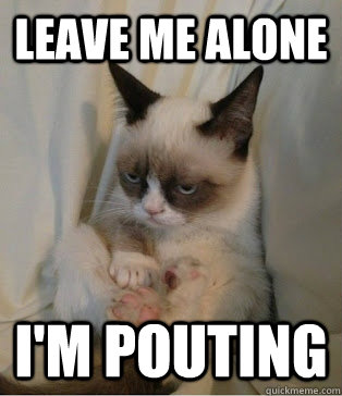 leave me alone i'm pouting - leave me alone i'm pouting  grumpy cat sits