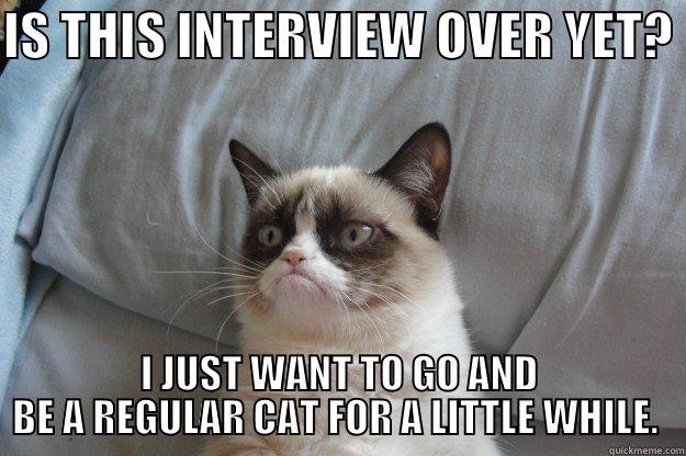 IS THIS INTERVIEW OVER YET?  I JUST WANT TO GO AND BE A REGULAR CAT FOR A LITTLE WHILE.  Grumpy Cat