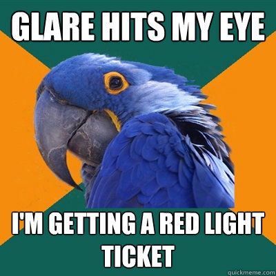 Glare hits my eye I'm getting a red light ticket  Paranoid Parrot