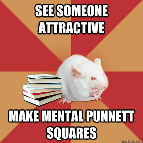 See someone attractive Make mental Punnett Squares - See someone attractive Make mental Punnett Squares  Science Major Mouse