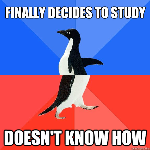 Finally decides to study Doesn't know how  Socially Awkward Awesome Penguin