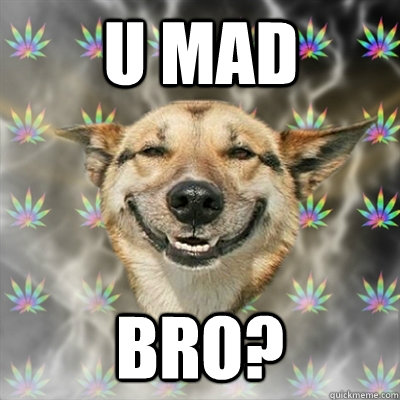 u mad bro?  Stoner Dog
