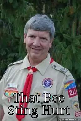  THAT BEE STING HURT Harmless Scout Leader