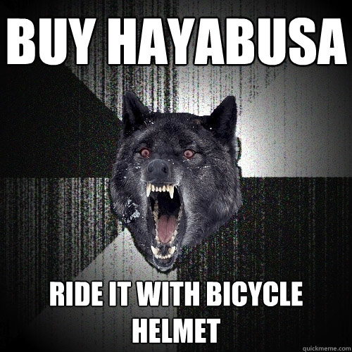 Buy hayabusa Ride it with Bicycle helmet  Insanity Wolf