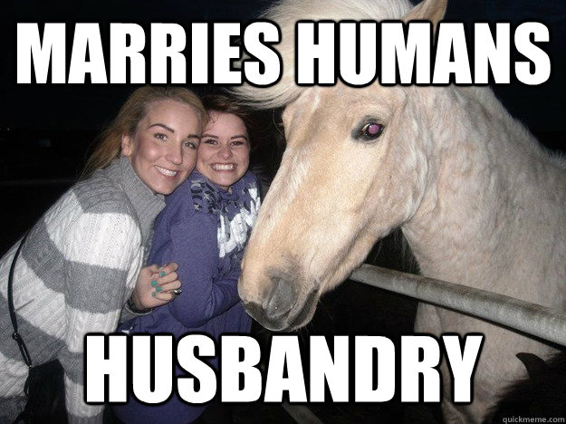 Marries humans Husbandry  Ridiculously Photogenic Horse