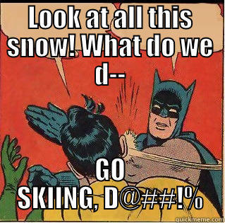 LOOK AT ALL THIS SNOW! WHAT DO WE D-- GO SKIING, D@##!% Slappin Batman