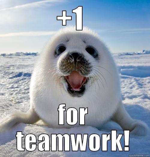 +1  FOR TEAMWORK! Misc