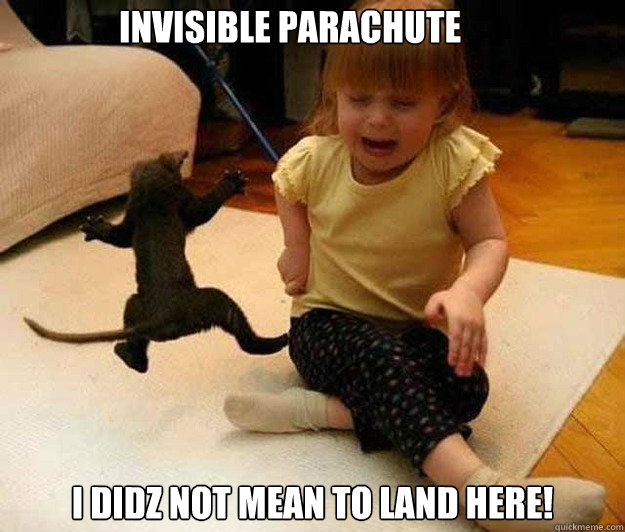 I didz not mean to land here! Invisible Parachute  Invisible Skydiver Cat
