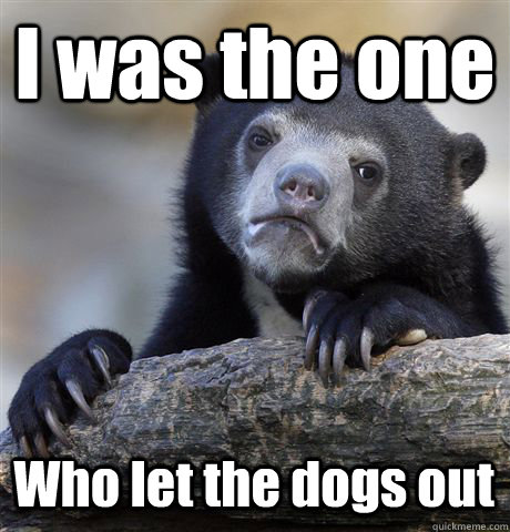 I was the one Who let the dogs out  Confession Bear