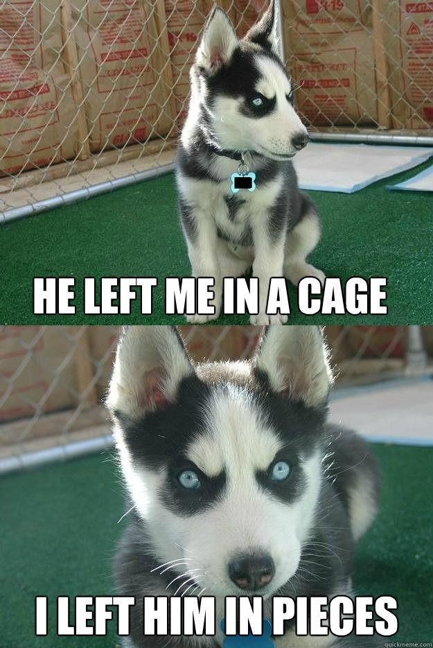 he left me in a cage i left him in pieces  Insanity puppy