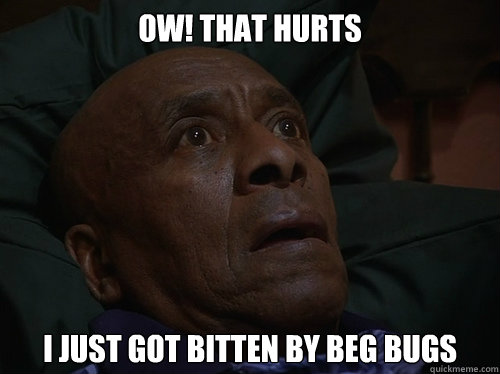 Ow! that hurts I just got bitten by beg bugs
  Bedtime Realizations